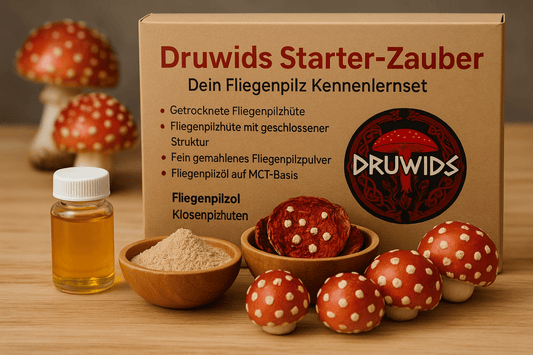 Druwids Kennenlern - Set - Druwids